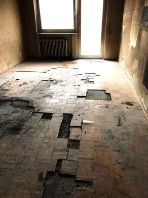 Wohnungsauflösung Gengenbach - Brandschaden und Messie Syndrom nun besenrein Wohnungsauflösung Gengenbach - Brandschaden und Messie Syndrom nun besenrein